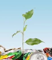 fonti comuni di inquinamento