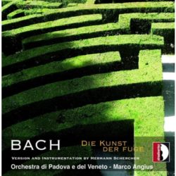 bach_Angius