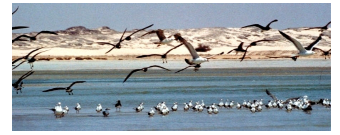 schermata-2016-10-31-alle-09-43-18