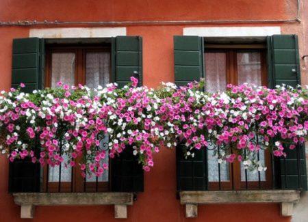 balcone fiorito