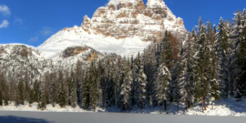 Natale sottoscrizioni