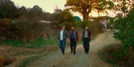 L'albero dei frutti selvatici