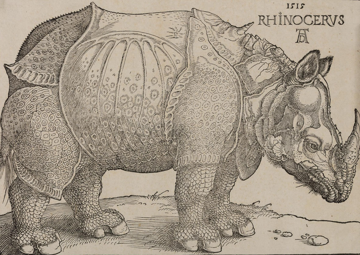 Albrecht Dürer 