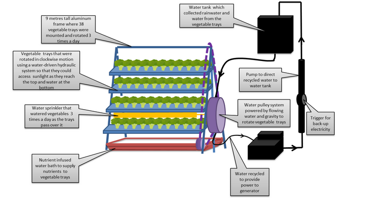 Agricoltura Verticale