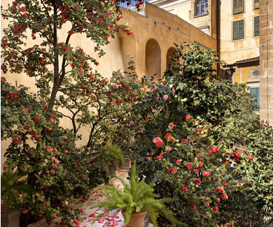 Giardino delle Camelie