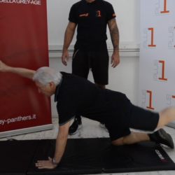 catena muscolare posteriore