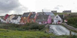 Il giorno dell’ape